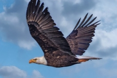 Activities-SV-thumbs-10