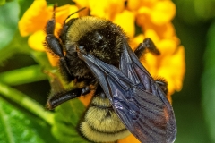 SV-Gallery-Nature-13