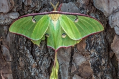 SV-Gallery-Nature-21