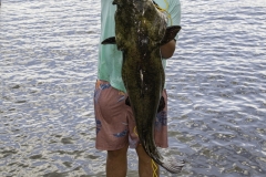 FlatheadCatfishCaught021320-2