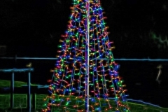 SV-Gallery-Christmas-1