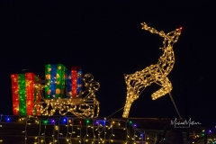 SV-Gallery-Christmas-14