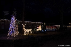 SV-Gallery-Christmas-8