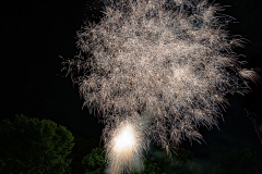 SV-Fireworks-070421-18