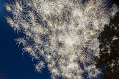 SV-Gallery-Fireworks-2